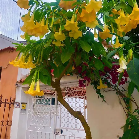Syrene Sorrento 피아노 디 소렌토