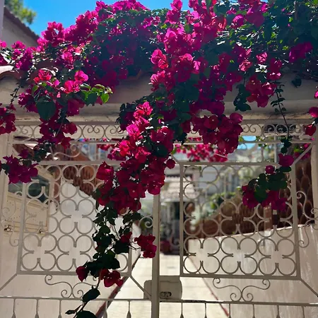 Syrene Sorrento Bed & Breakfast 4*