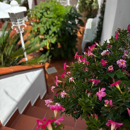 Bed & Breakfast Syrene Sorrento 4*